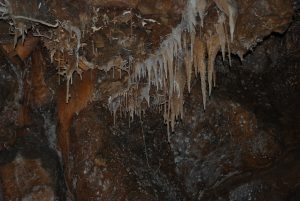 Read more about the article 2012 Black Chasm Cavern
